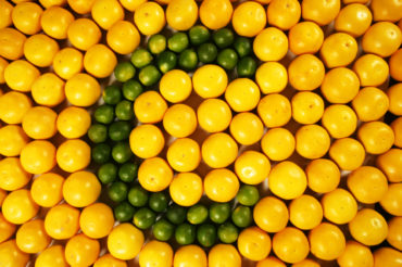 vitamin c